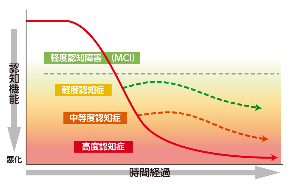 ベネシード　認知機能と時間経過の図