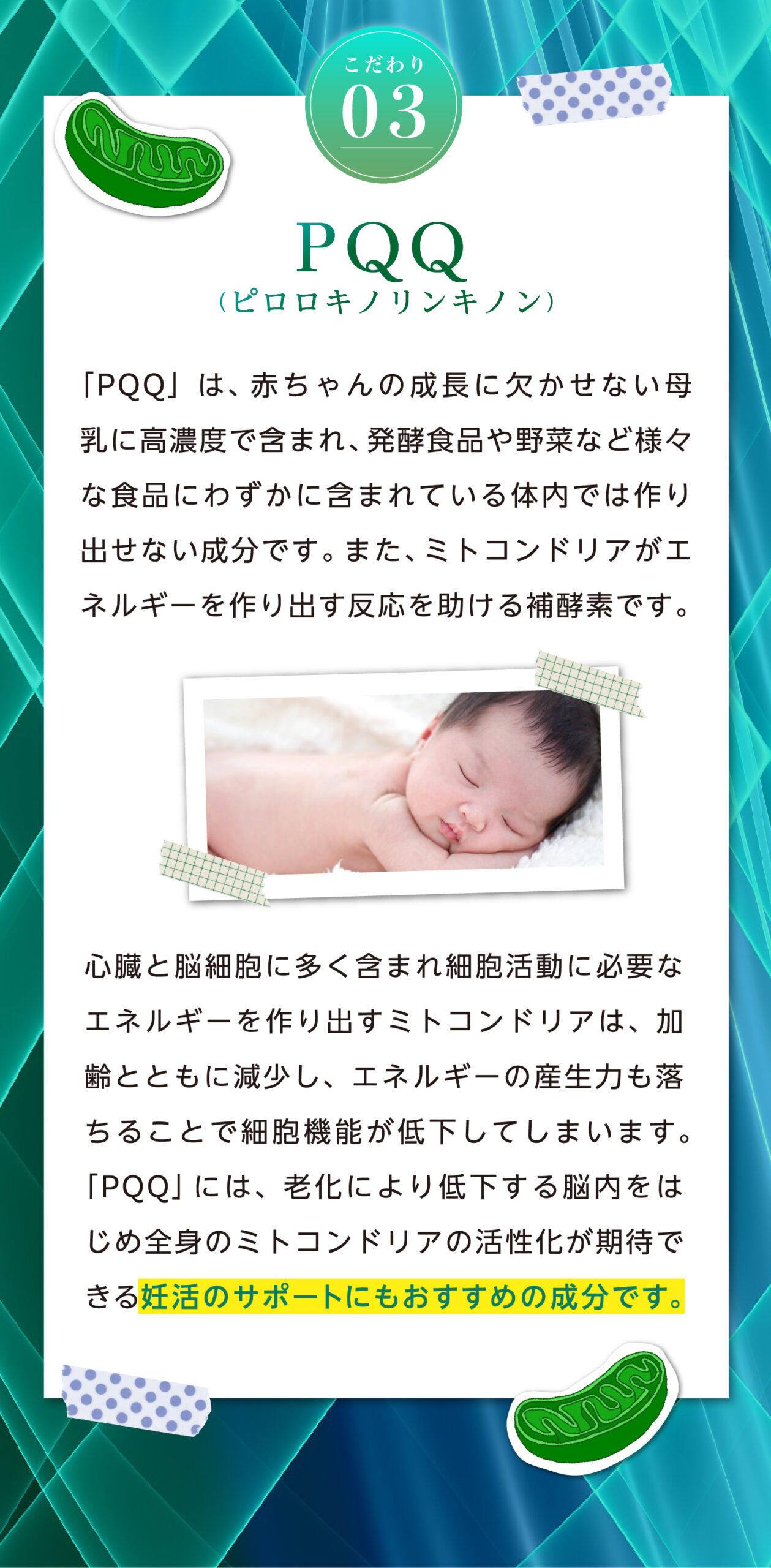 ベネシード プロロキノリンキノン ミトコンドリア