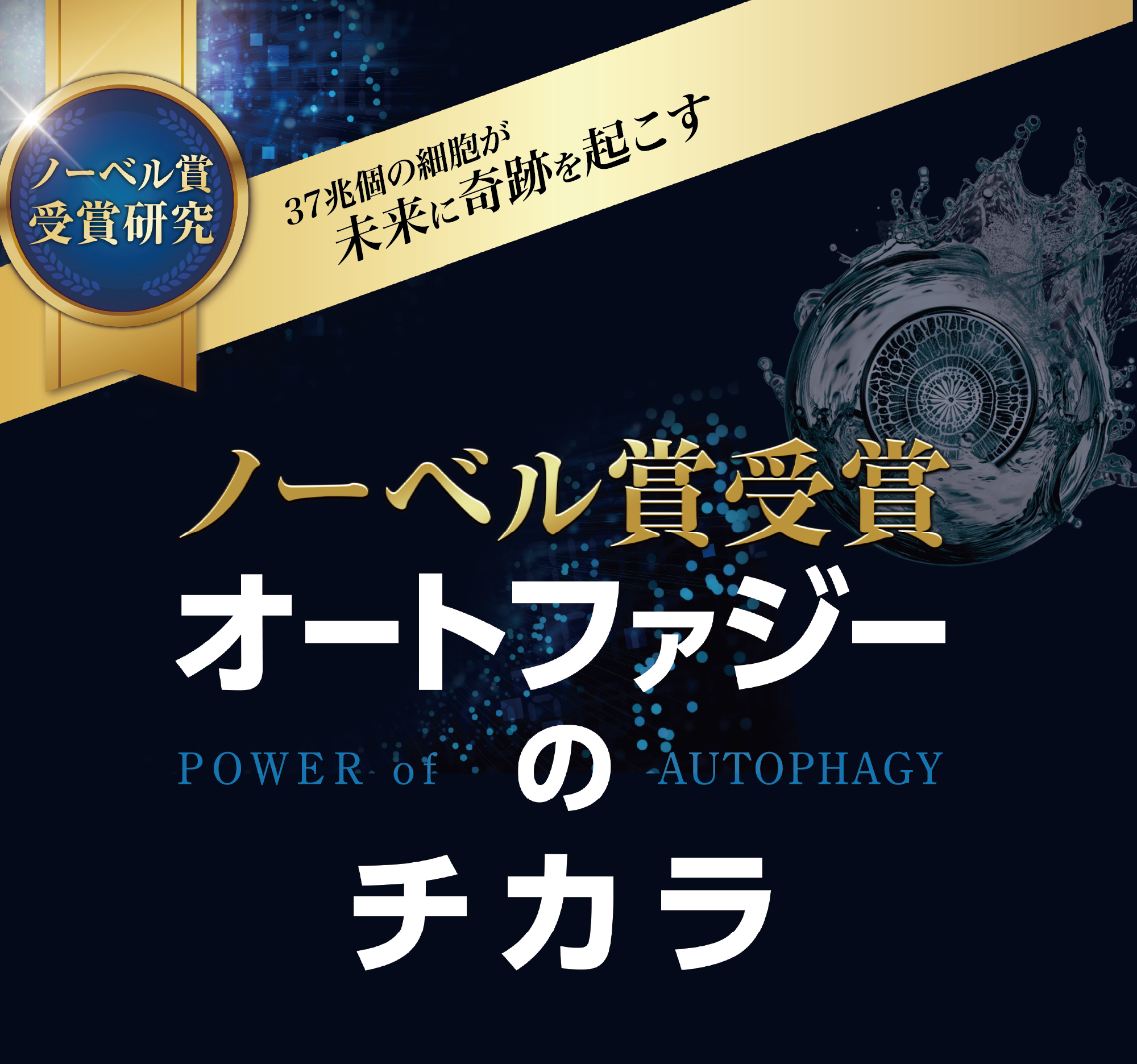 ベネシード オートファジー