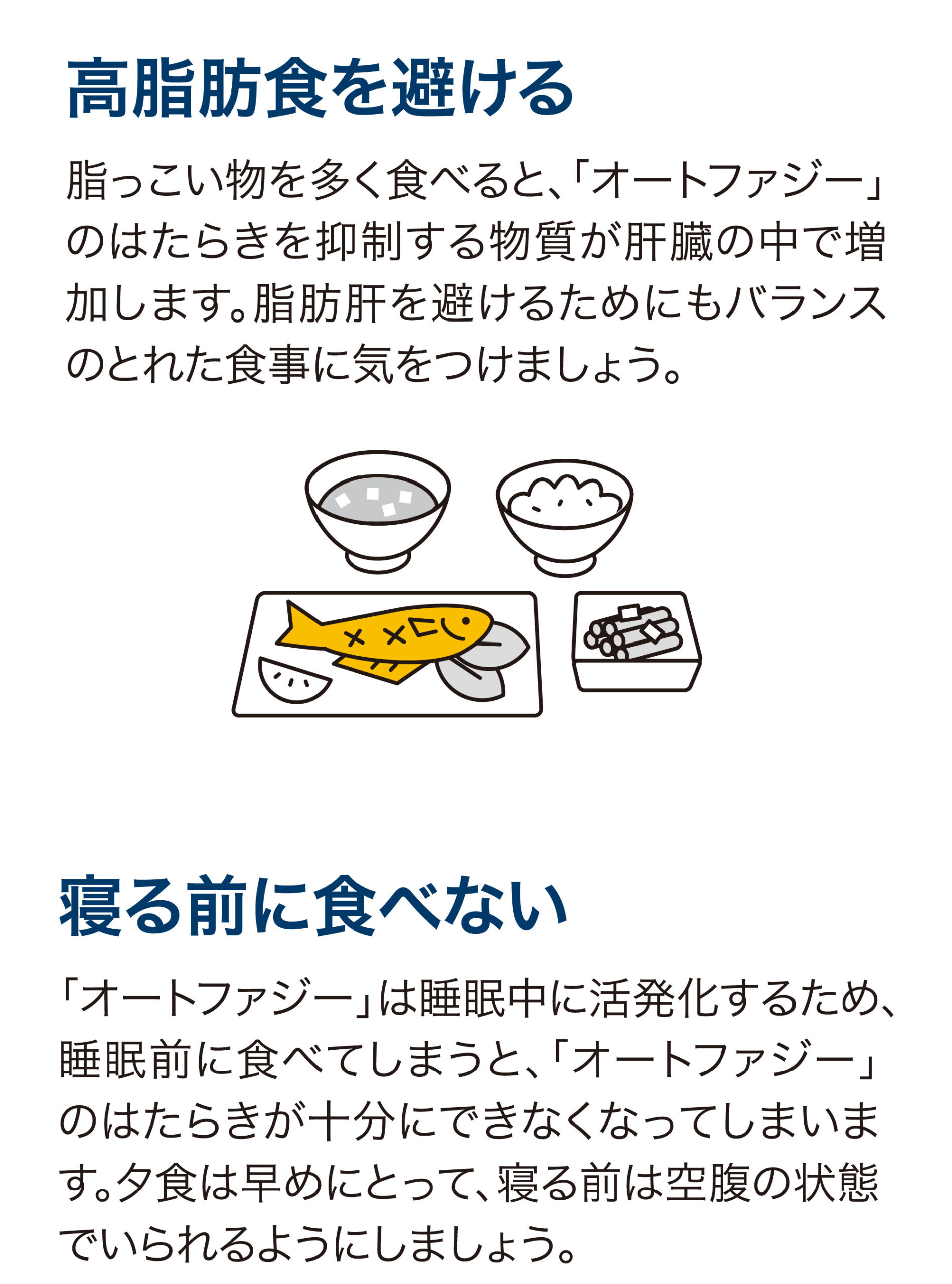 ベネシード 日常生活でオートファジーを促進するには