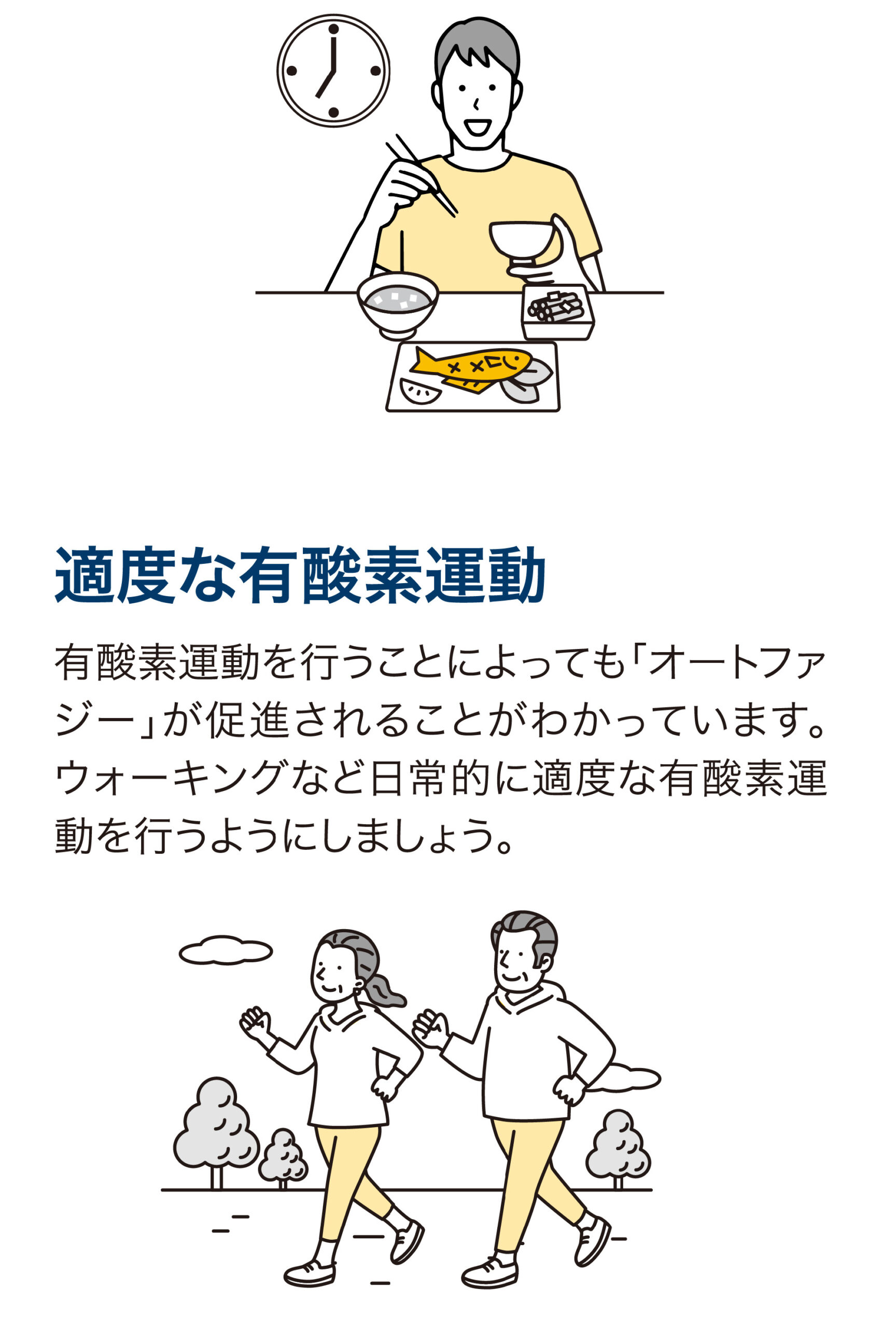 ベネシード 日常生活でオートファジーを促進するには