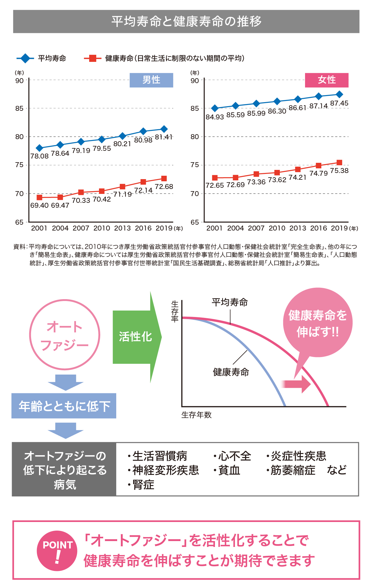 ベネシード オートファジー 平均寿命と健康寿命の推移