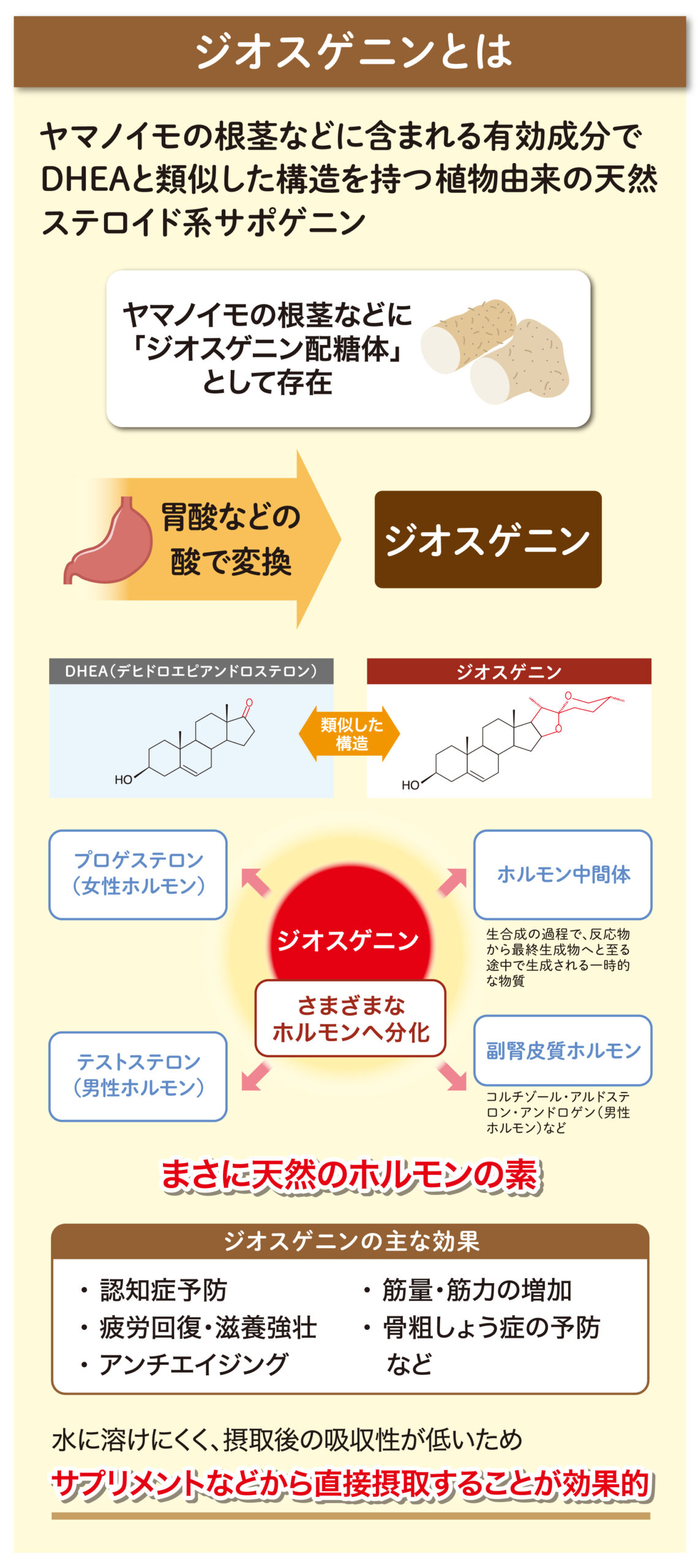 ベネシード ジオスゲニンとは
